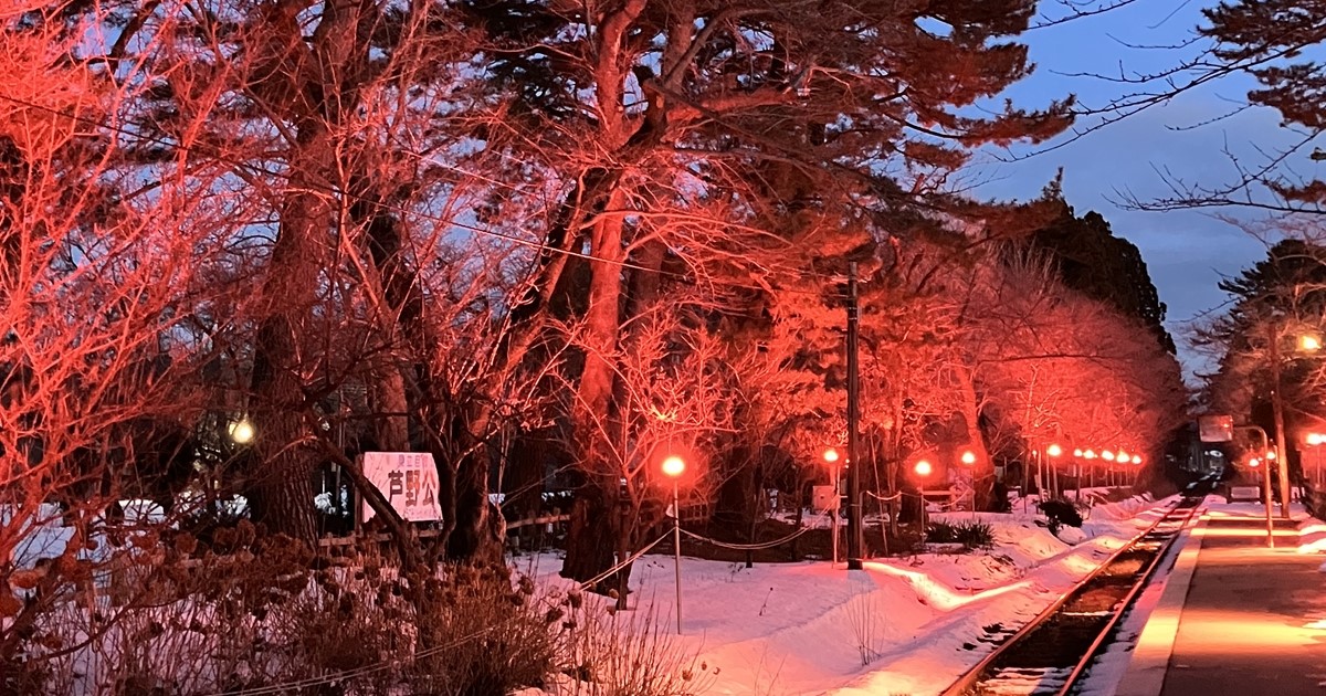 2024年の芦野公園駅「雪さくら」の様子